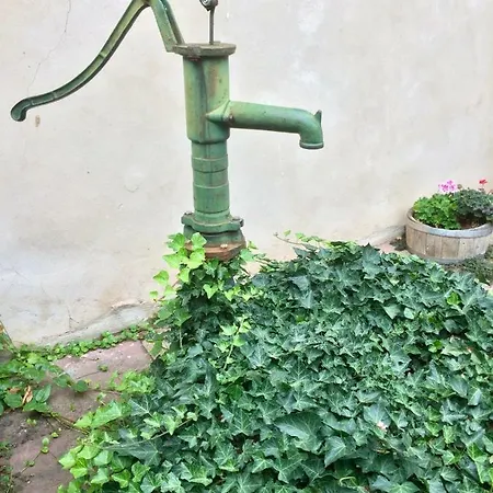 Les Chotzi's Maennolsheim